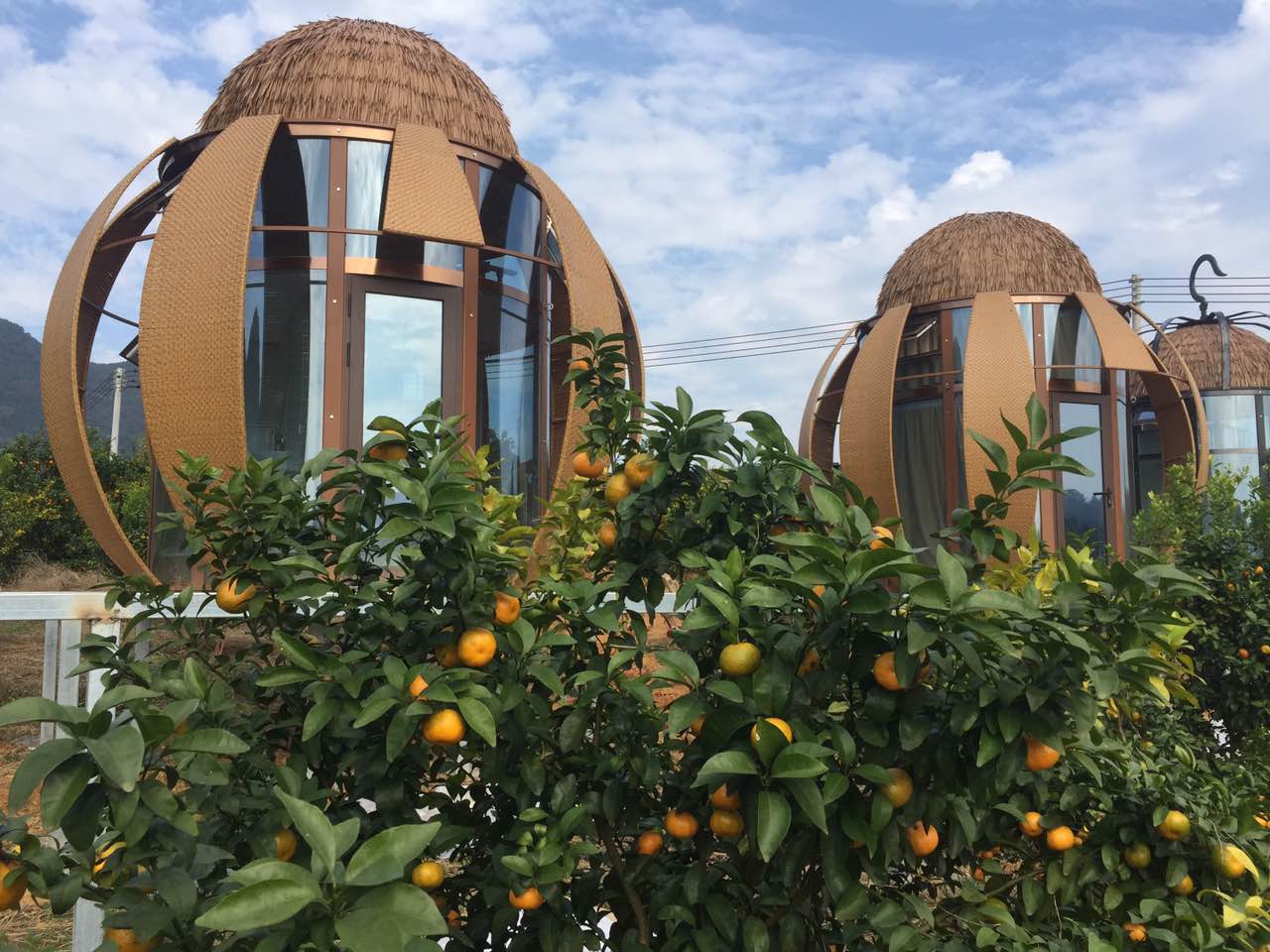 ��������Ҫ��Щ������