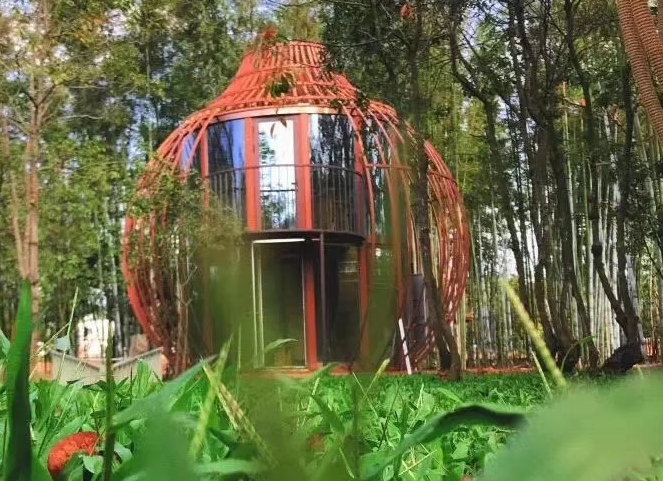 ľ��Ϊʲô����Ϊ������������ӡ�