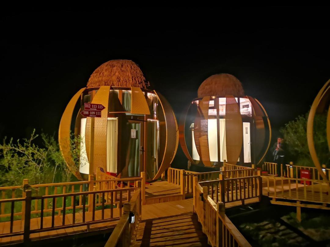 5f03d0052afa8.jpg 5f03d0052afa8.jpg